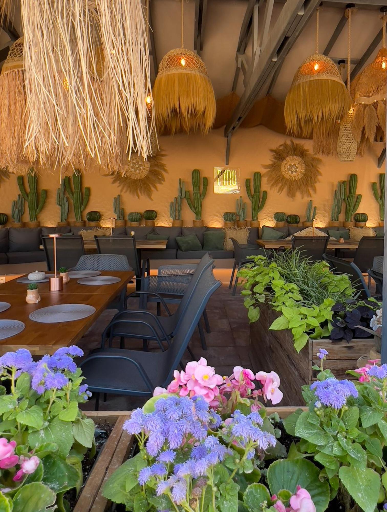 Pino - Villa, Casa, Cucina Е Terrazza Albena Luaran gambar