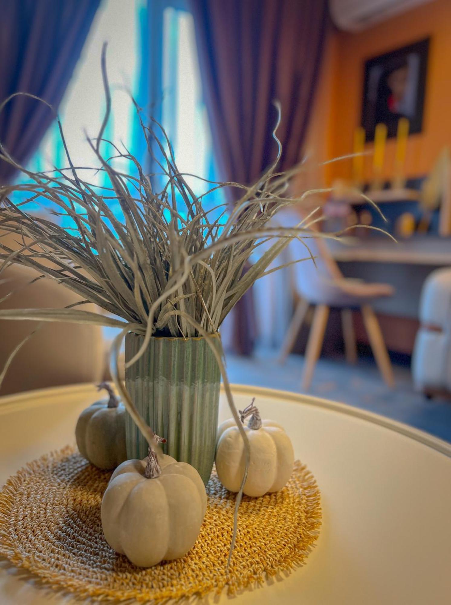 Pino - Villa, Casa, Cucina Е Terrazza Albena Luaran gambar